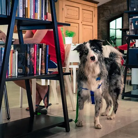 Principe רימיני