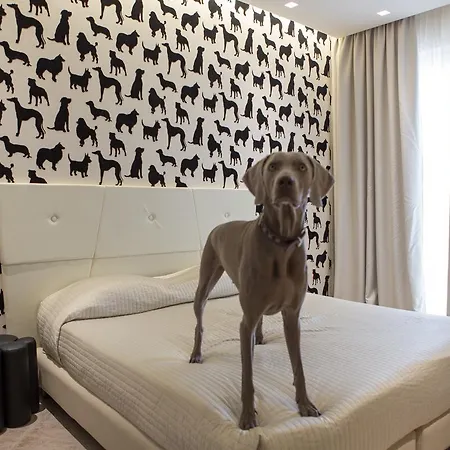 Отель Principe