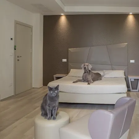 Principe 3* Римини