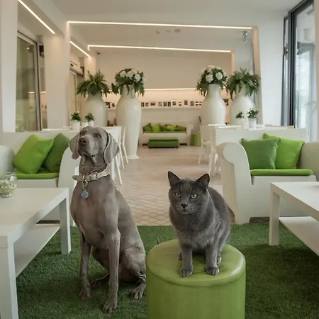 Principe 3* רימיני