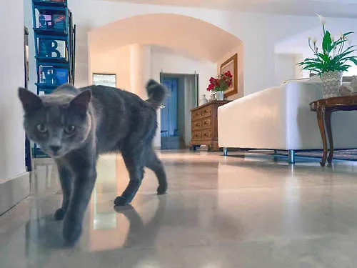 Principe 3* リミニ