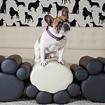 Principe Hotel 3*