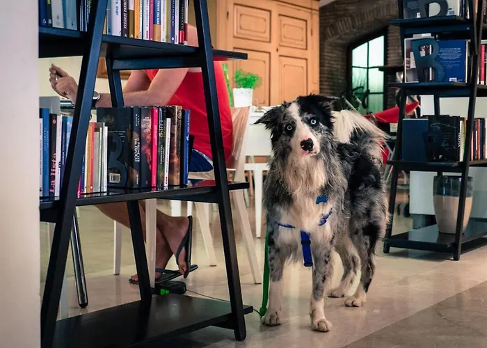 Principe ريميني